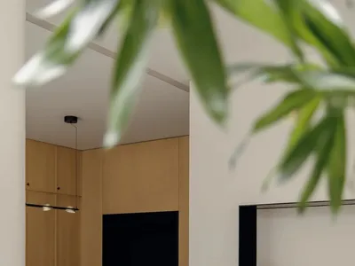 Classic modern kitchen and living room with black and white color scheme, refrigerator, sink, couch, TV, and potted plant