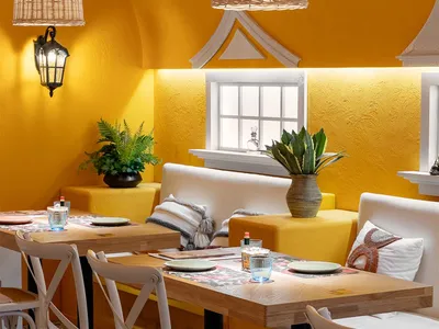 Dining area with yellow walls, white furniture, and potted plants, illuminated by natural light