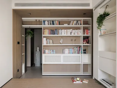 Cozy modern living room with a wooden floor, a bookshelf, a potted plant, and a warm atmosphere