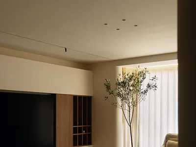 Comfortable living space with a flat screen TV, couch, chair, coffee table, and potted plant, well-lit and inviting