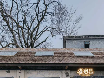 一間現代餐廳的餐桌椅靠近一大窗戶和門，充滿自然光和明亮的氣氛