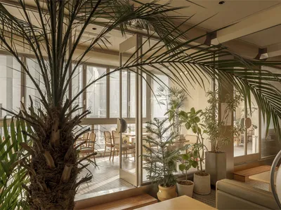 Cozy modern restaurant interior with potted plants, tables, and chairs, creating a lively atmosphere