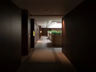 Dimly lit hotel hallway with a carpeted floor, potted plants, and a modern style