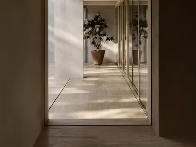 A bright and airy living room with white walls, natural light, and two potted plants, one near the center and one towards the right side, with a large window showcasing an outside view