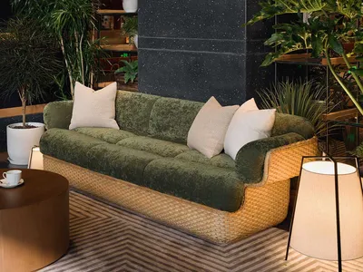 Cozy living room with a green sofa, coffee table, and several potted plants, creating a natural and inviting atmosphere