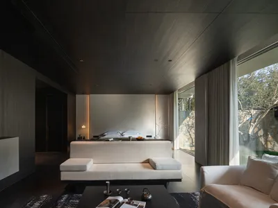 現代極簡客廳，擁有深色木質天花板、嵌入式線型壁爐、白色睡椅，以及通往花園的大片玻璃門。