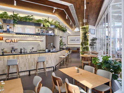 Bright modern cafe interior with a long wooden bar counter, grey upholstered bar stools, abundant hanging ferns and monstera plants, light wood dining tables and matching chairs, warm wood ceiling, and large glass windows allowing natural light.