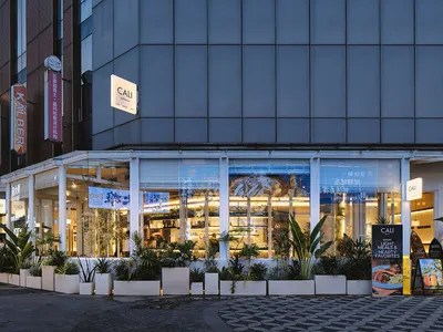 Modern glass facade of Cali Cali cafe at dusk, featuring white structural frames, abundant potted tropical plants along the sidewalk, and warm interior lighting visible through large windows.