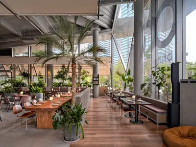 Modern biophilic restaurant interior featuring a large central palm tree, concrete pillars, wooden tables, and floor-to-ceiling windows overlooking city buildings.