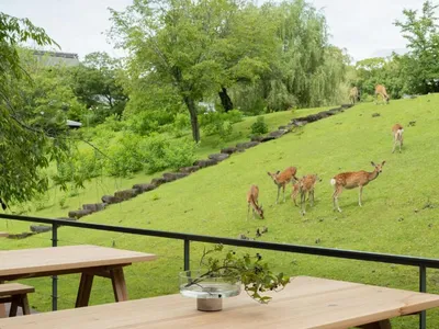 Outdoor Kitchen Design Ideas Backyard Entertaining - Design 29