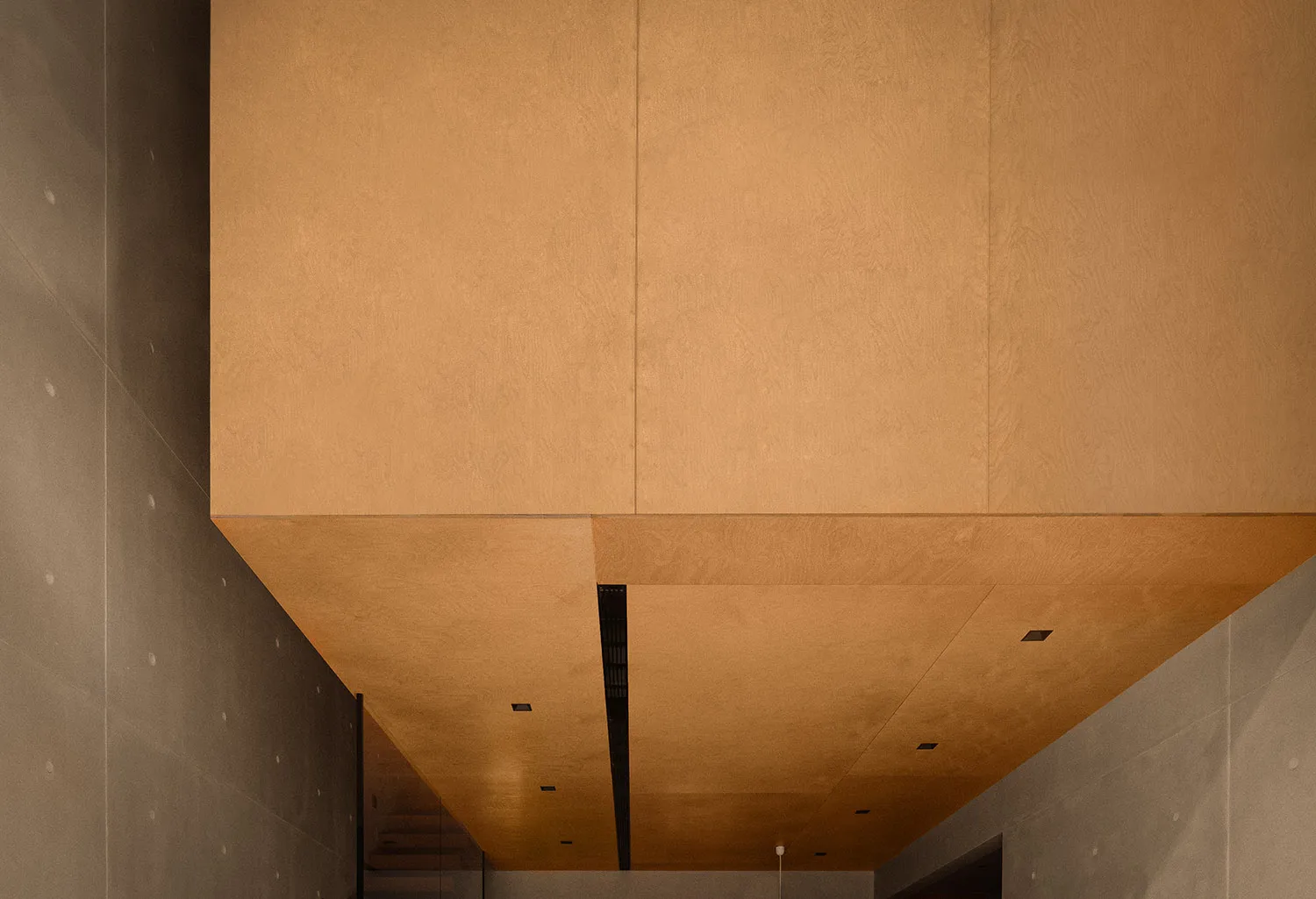 Minimalist interior design featuring wood paneling on the ceiling