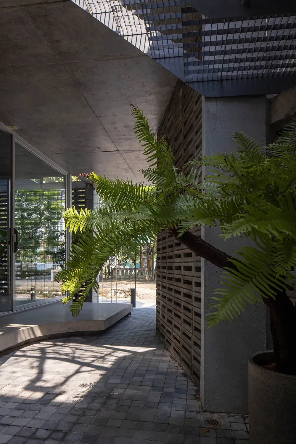 Modern architecture with concrete features and a green plant.