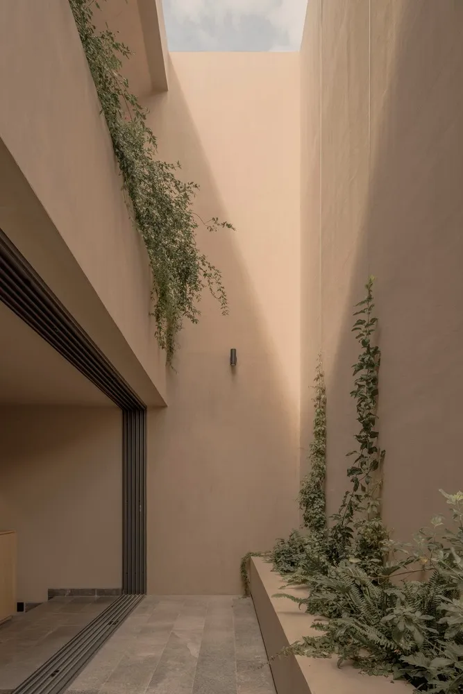A modern interior space featuring concrete walls and greenery.