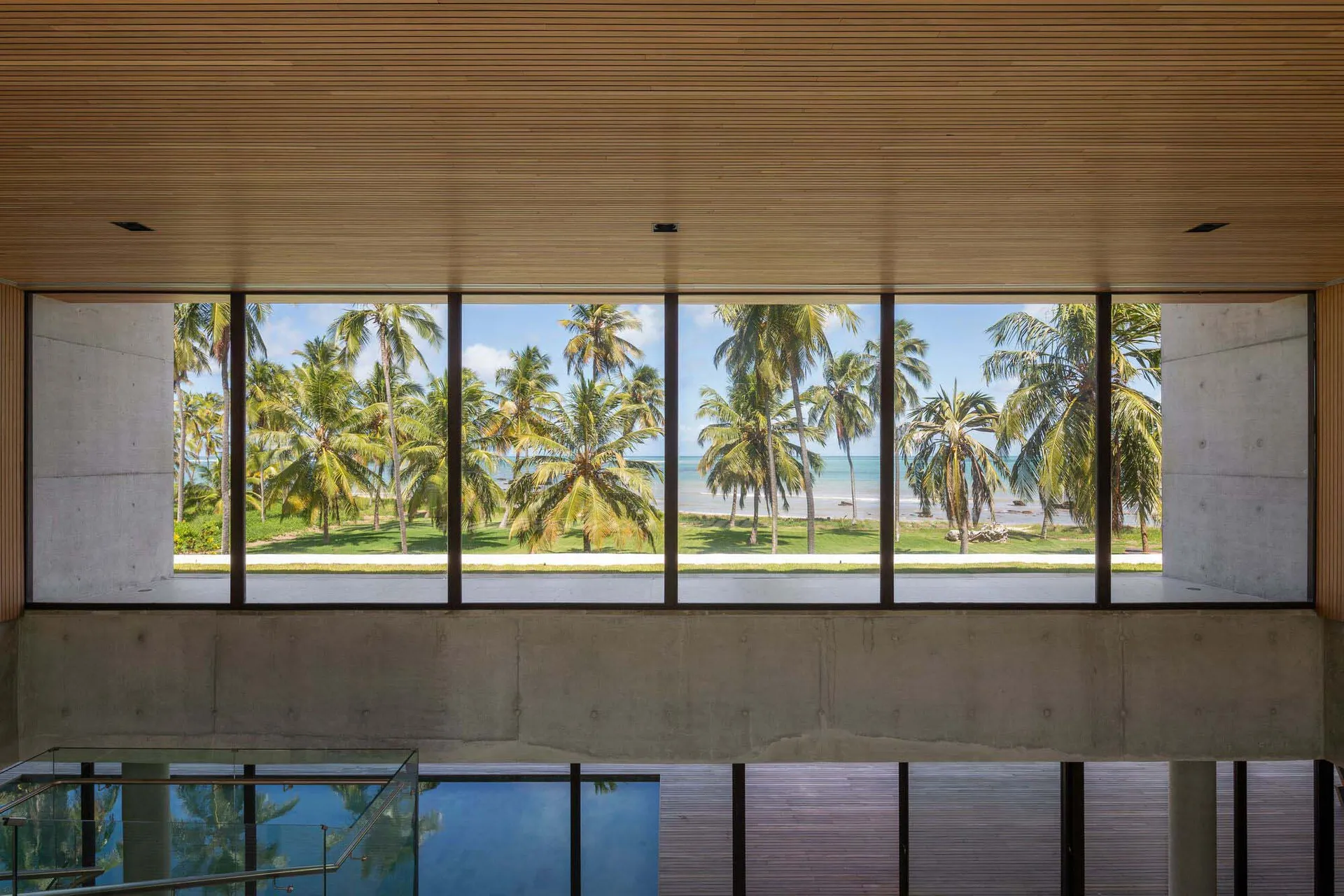 Large glass window overlooking a tropical beach with palm trees and blue sky.