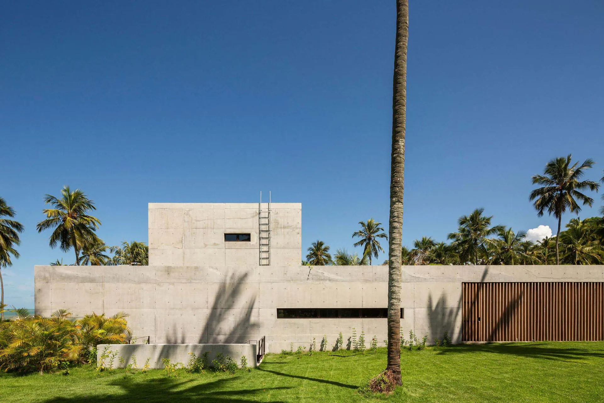 A modern building with a concrete exterior surrounded by green grass and palm trees.
