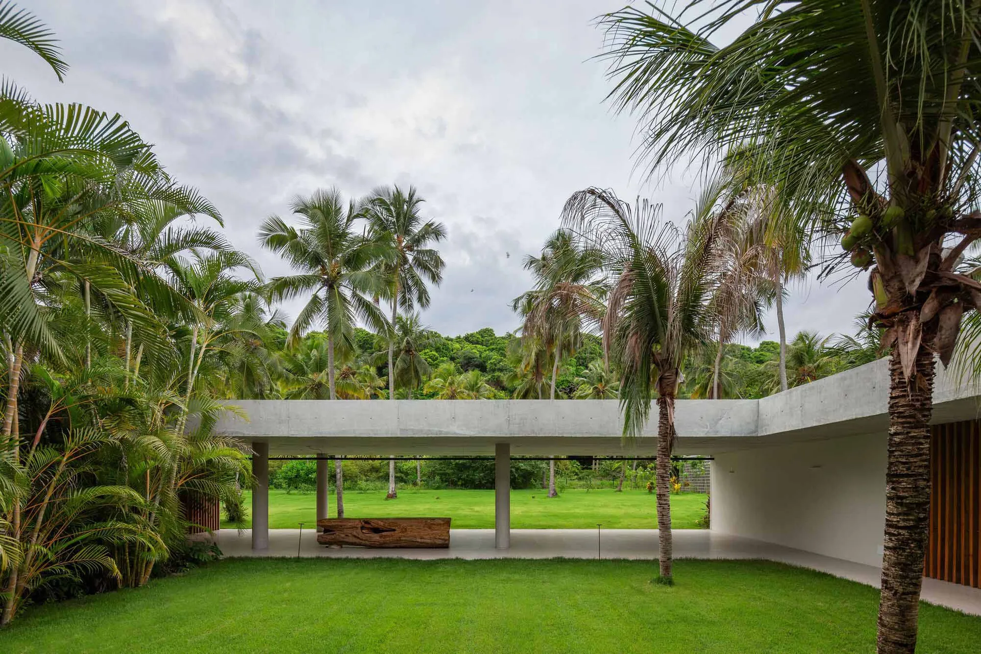 Modern residential space featuring concrete furniture and greenery.