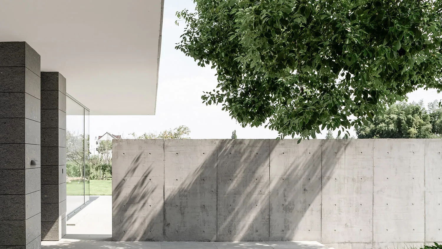 A modern concrete facade featuring large glass windows and a tree casting shadows on the wall.