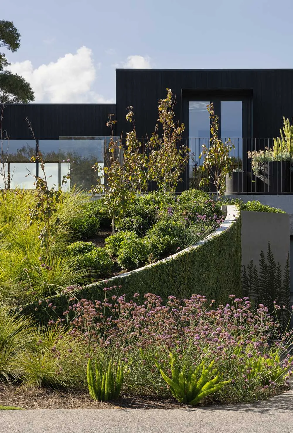 Modern residential garden with mixed media materials and lush greenery.