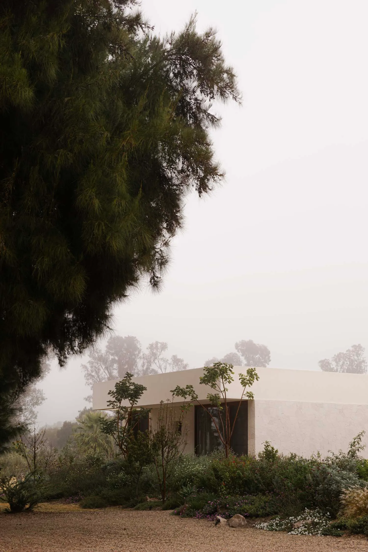 A minimalist residential building with concrete walls and large glass windows surrounded by greenery under a foggy sky.