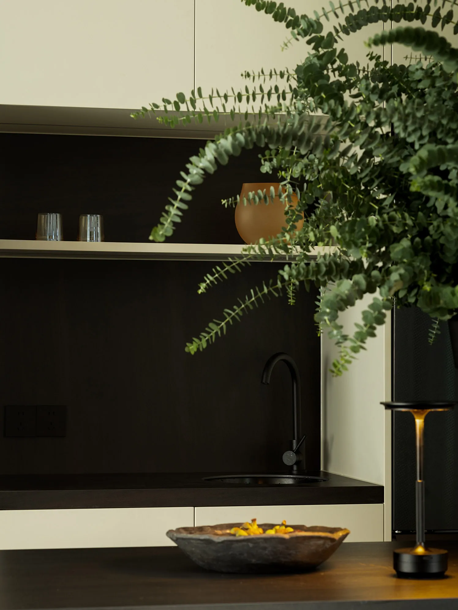 Modern minimalist kitchen featuring dark wood cabinets, a sleek faucet, and a potted green plant.