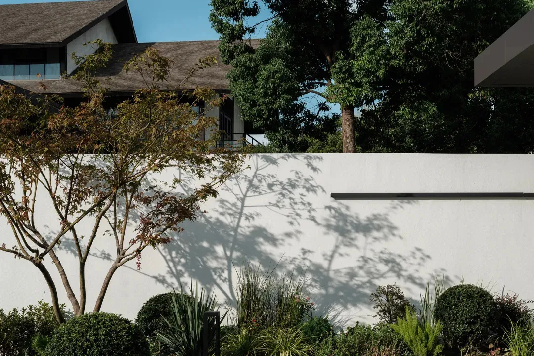 Concrete wall with shadow of tree and greenery.