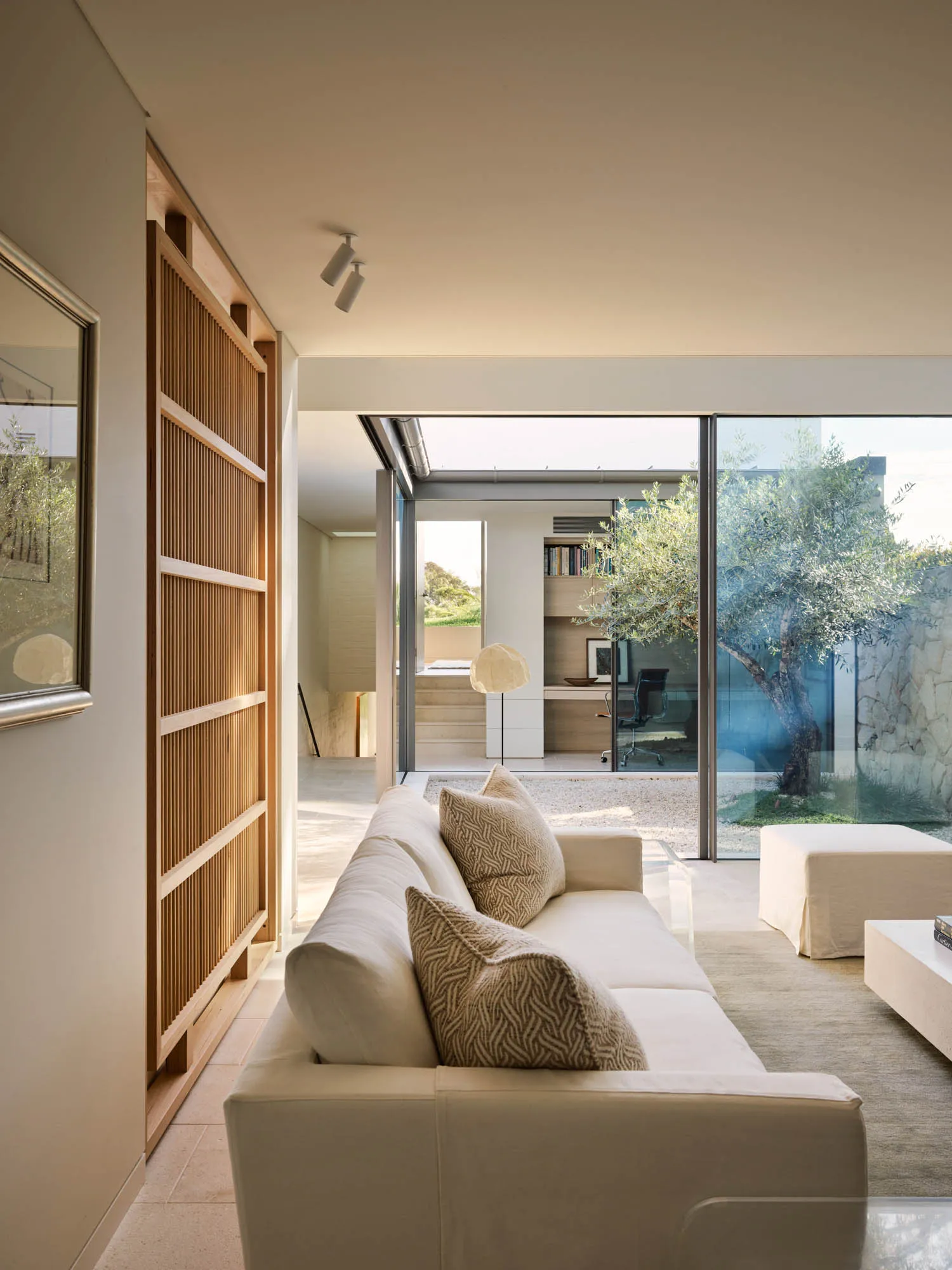 Modern minimalist living room with white sofa, floor lamp, and olive tree in the background.