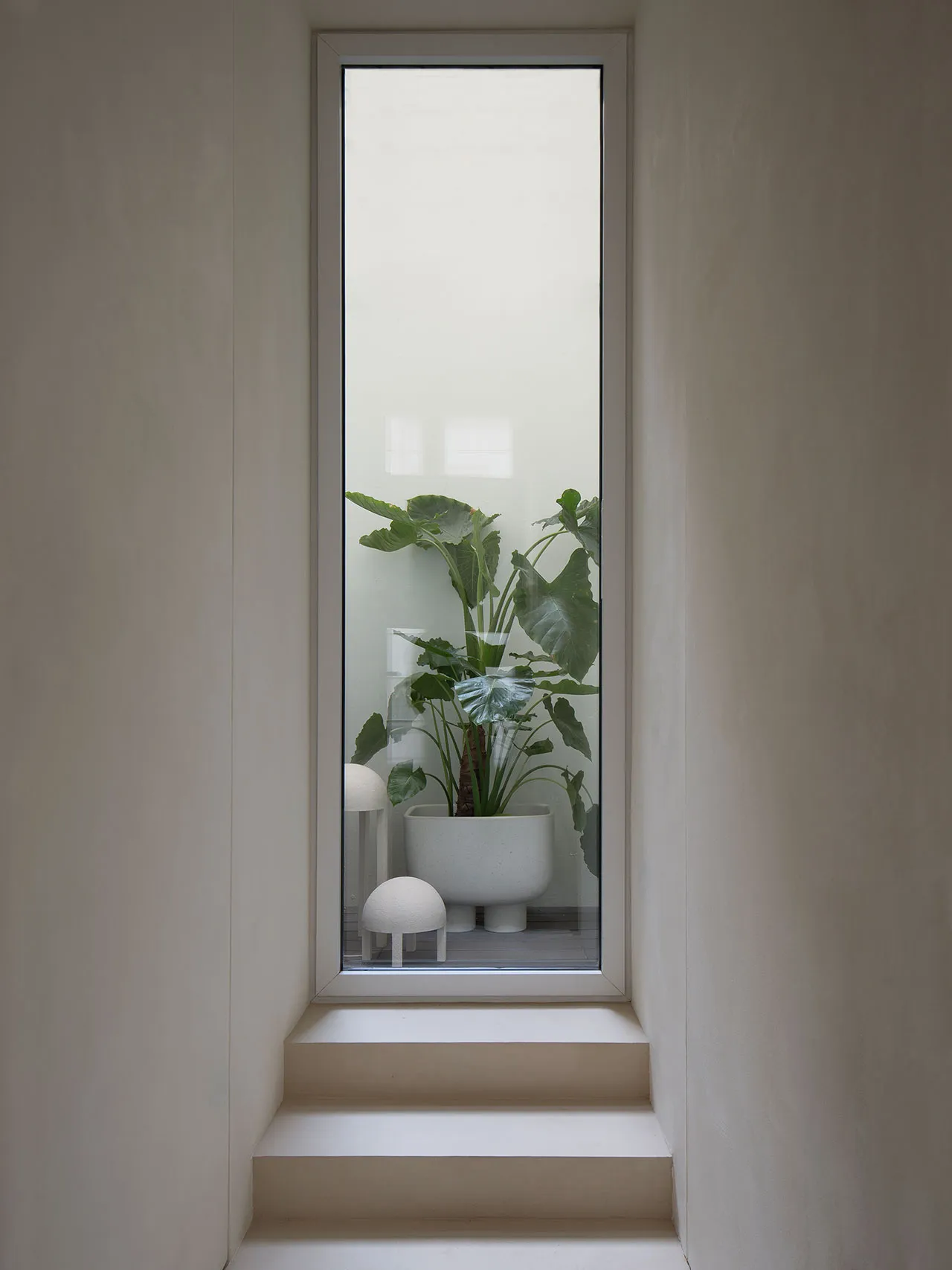 Modern staircase with indoor plant in a minimalist space.