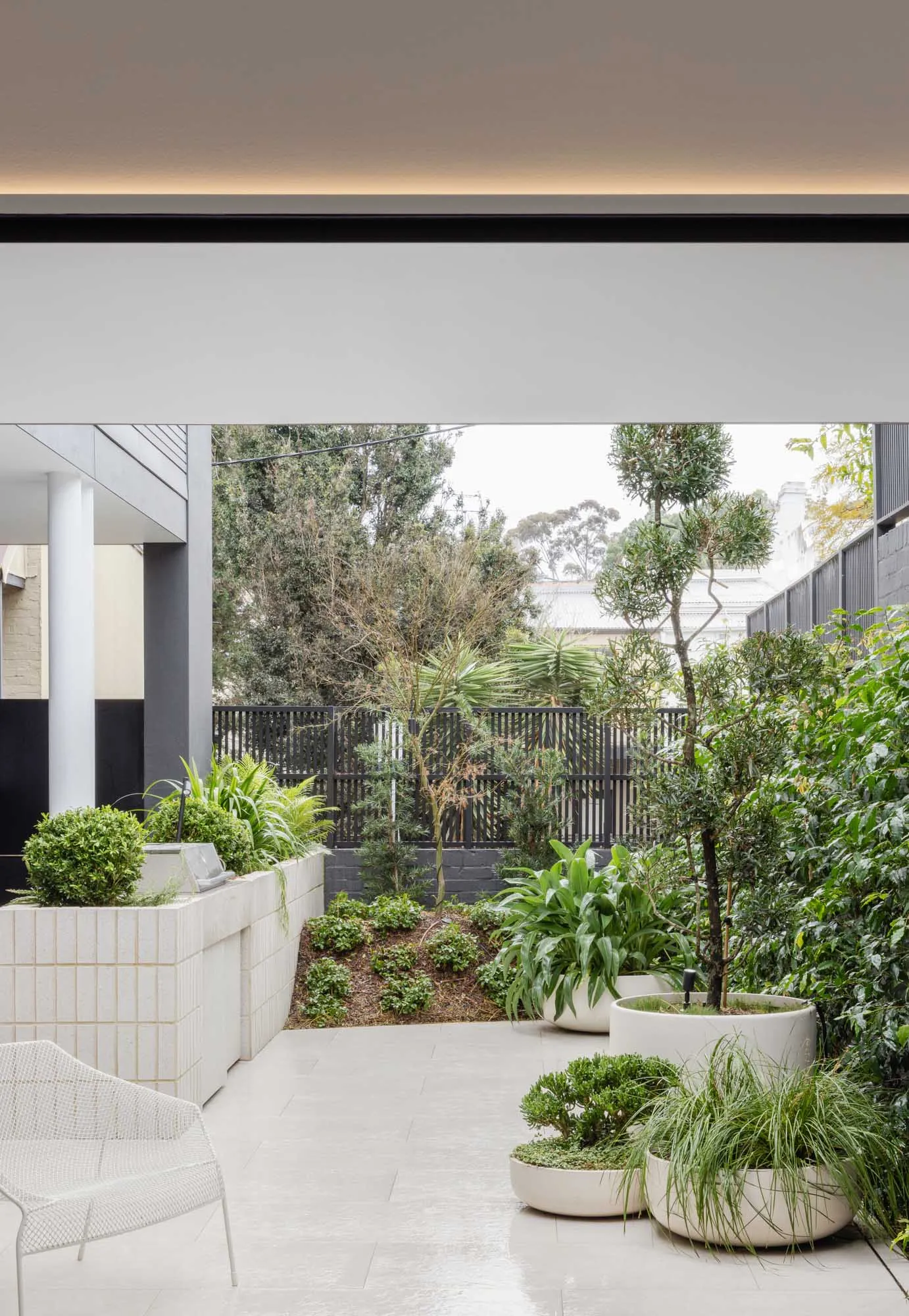 Modern residential garden featuring concrete elements and green potted plants.