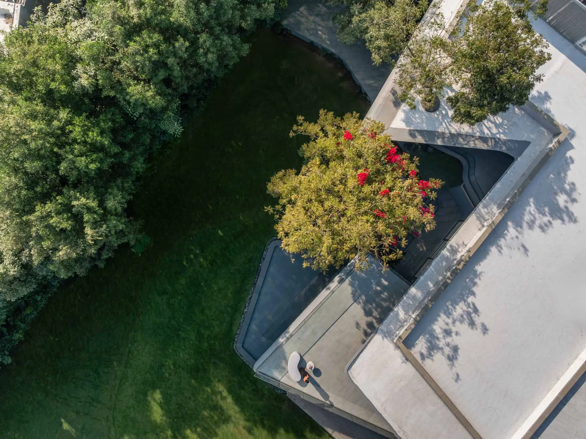 Aerial view of a modern garden featuring a concrete structure and lush greenery.