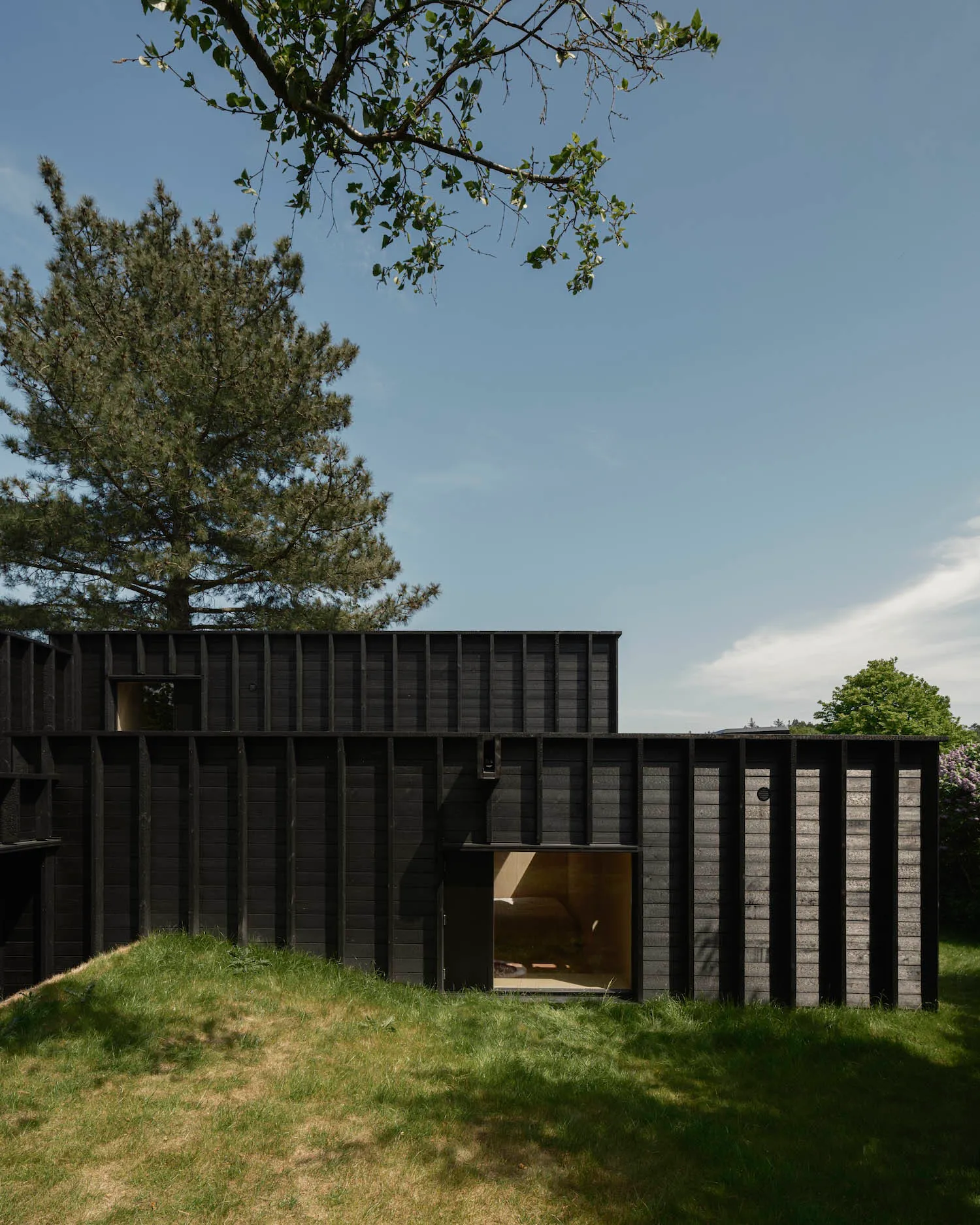 Modern minimalist house with wooden exterior and large glass windows.