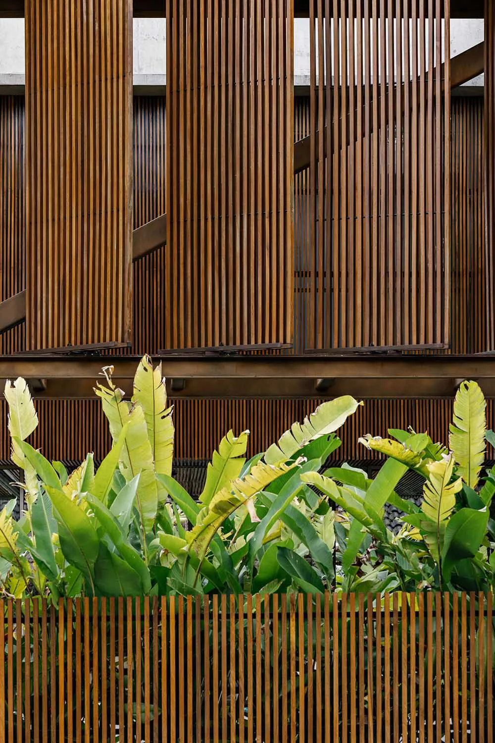 Modern architectural facade adorned with wooden panels and surrounded by lush greenery.