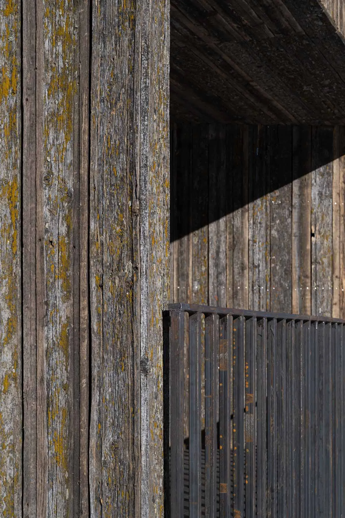 Close-up of a rustic wooden wall with lichen growth, highlighting industrial design elements.