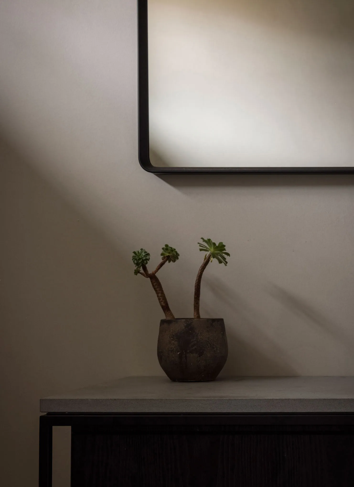A minimalist concrete sideboard with a potted plant on top.