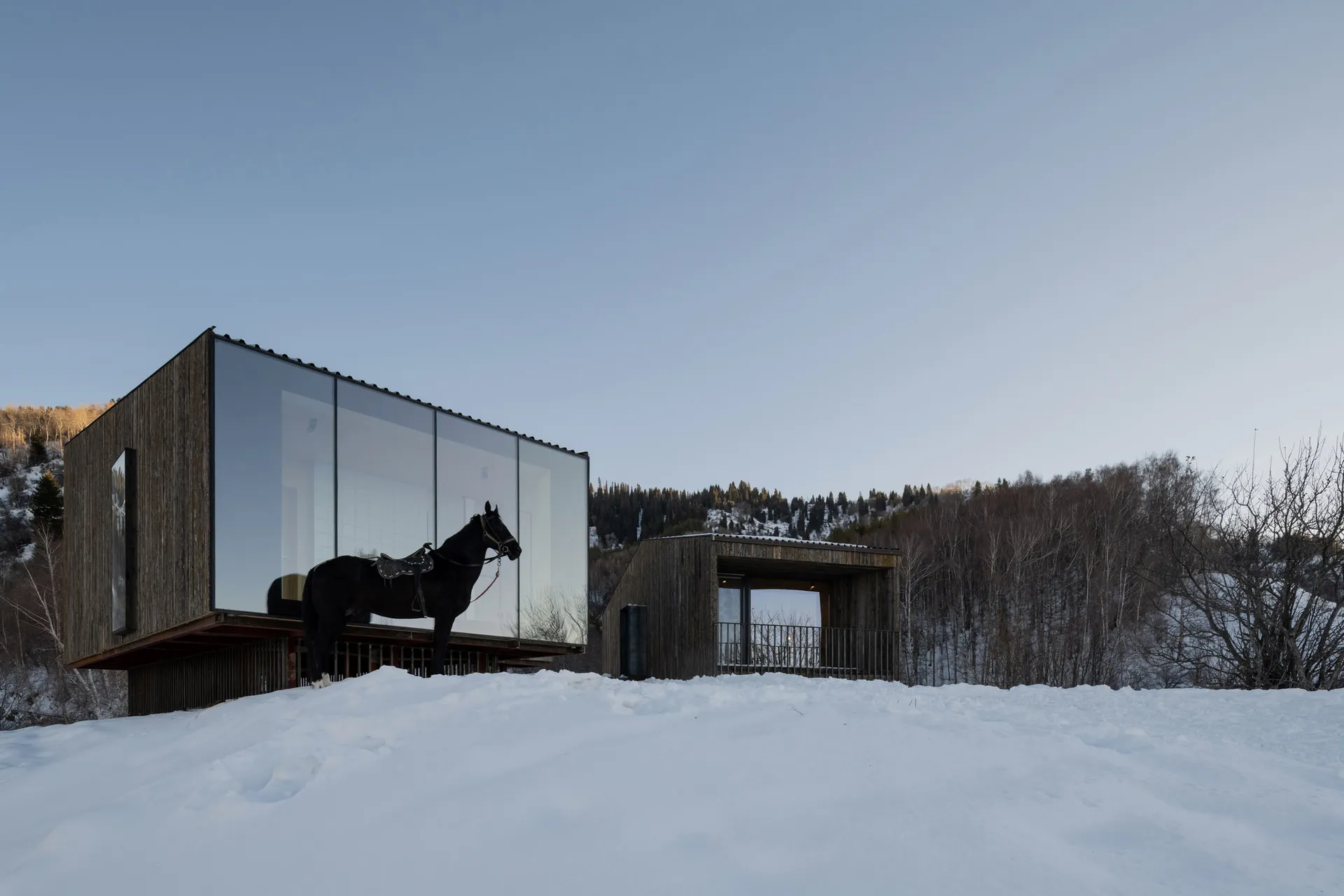 一匹黑馬站在雪地上，前面是一棟現代木造住宅建築。