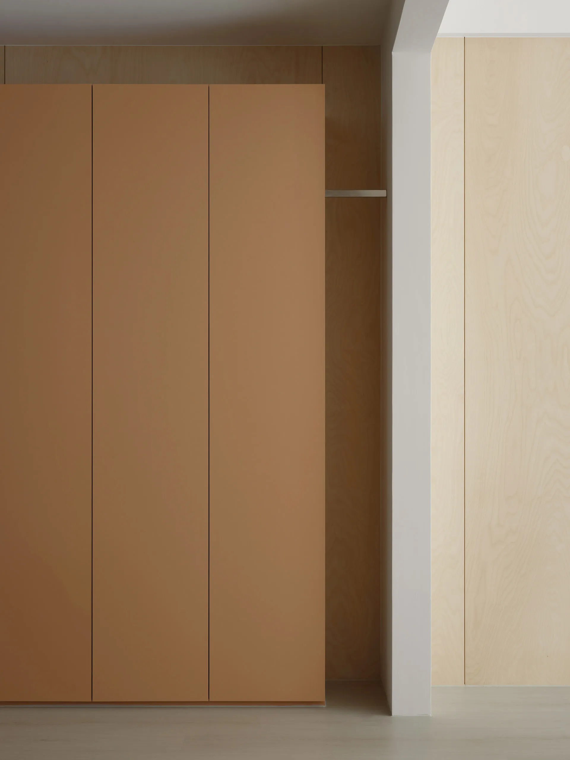 Minimalist closet with light-colored wood plywood interior, closed