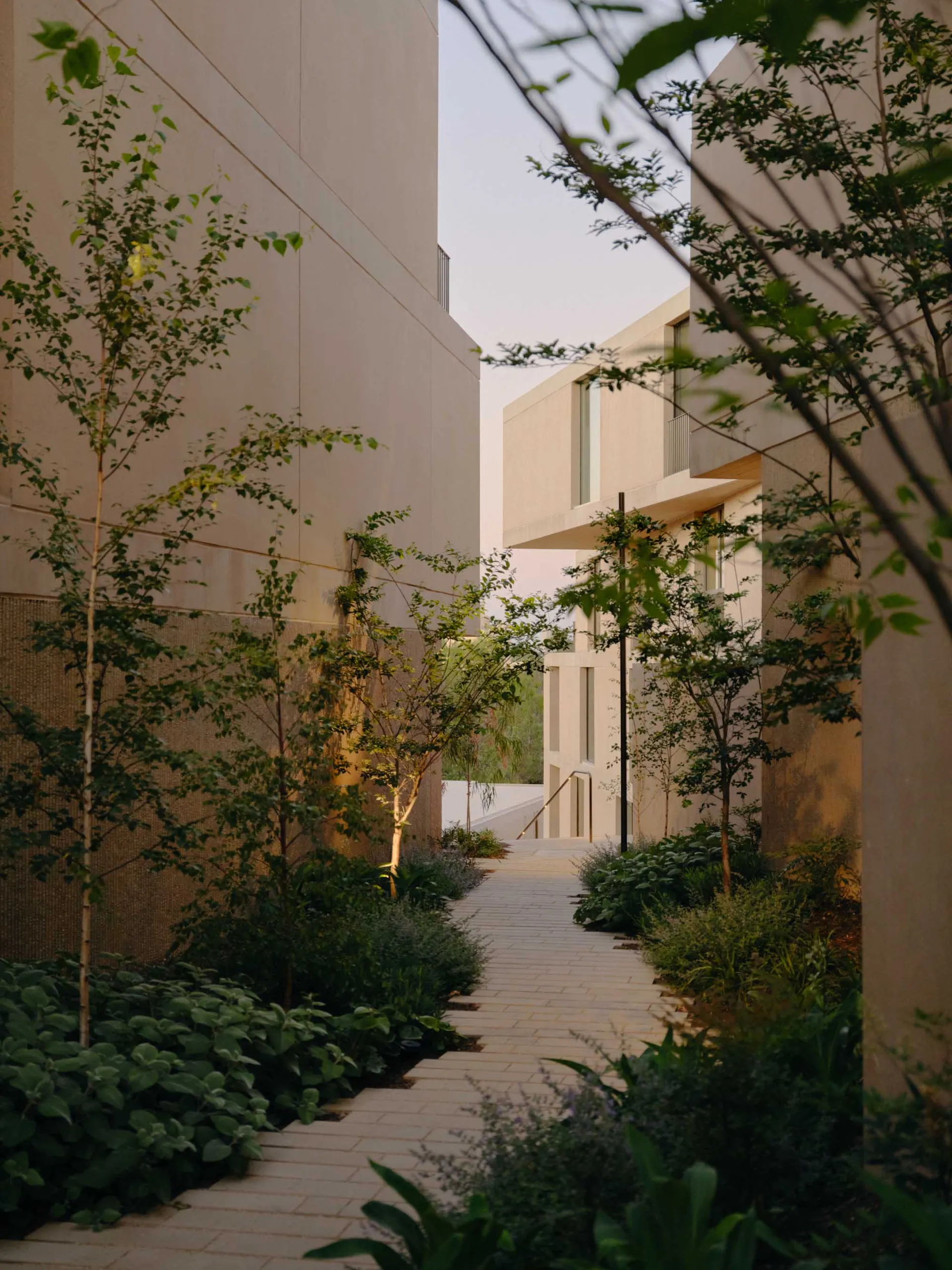 A modern indoor pathway lined with greenery, featuring concrete walls and a light source.