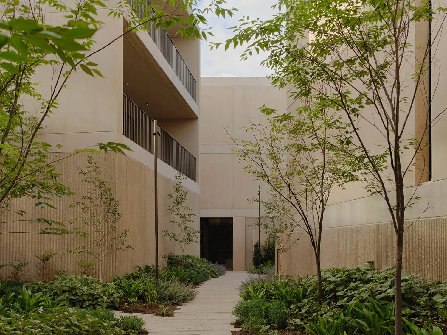 Modern interior design featuring concrete and greenery.