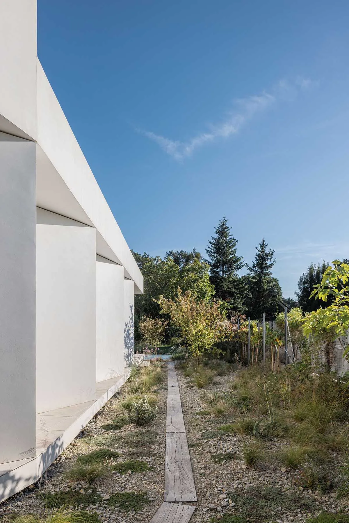 A minimalist residential exterior with concrete walls and a garden path.
