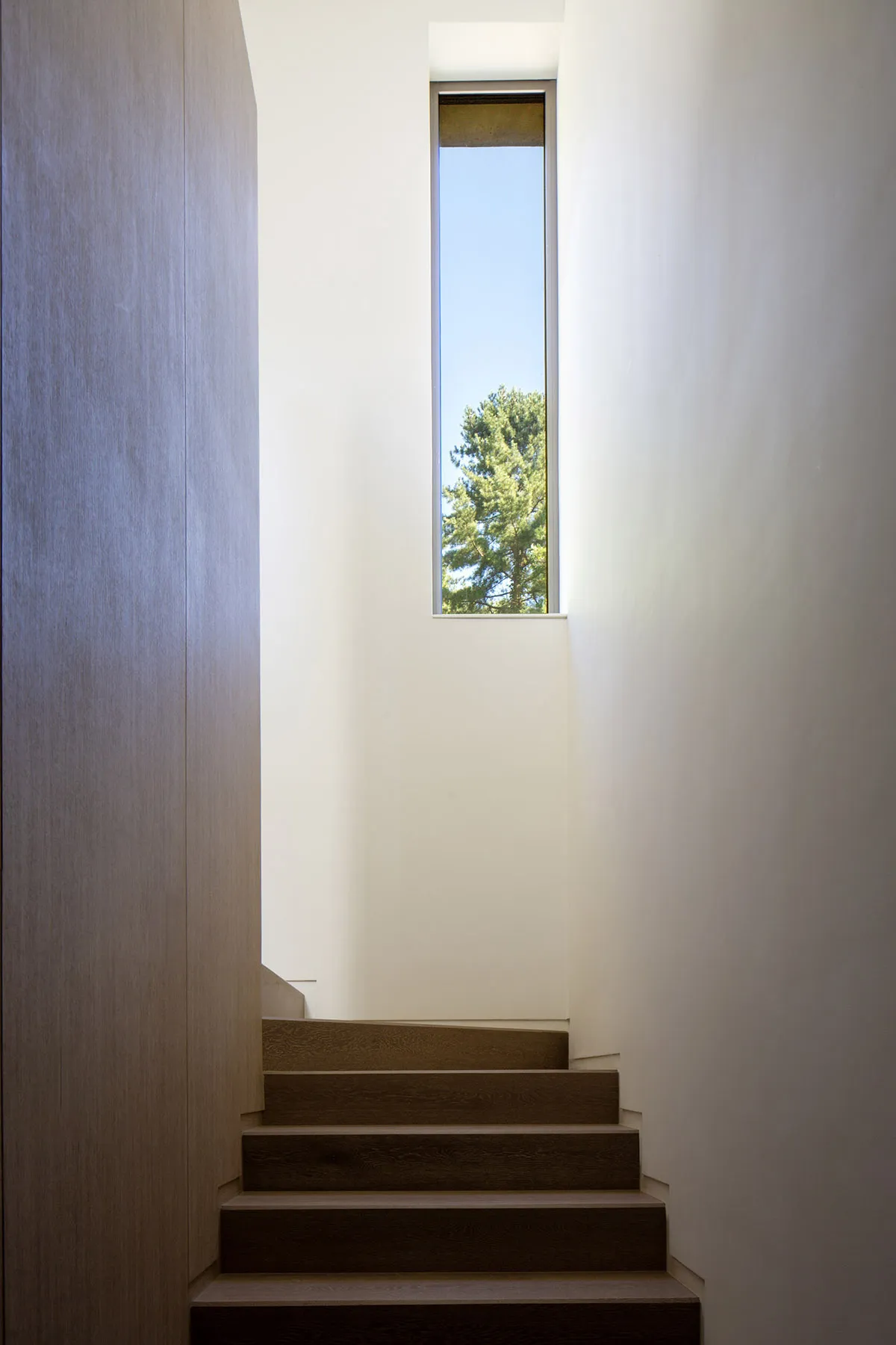 A modern staircase with wooden steps illuminated by natural light from a narrow vertical window.