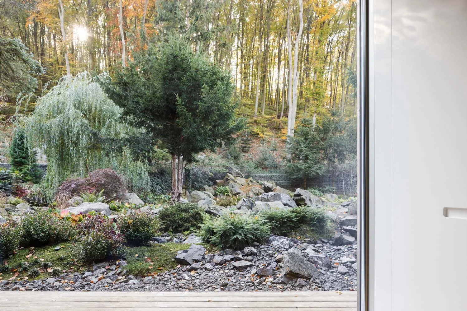 Outdoor garden with rocks, trees, and greenery.