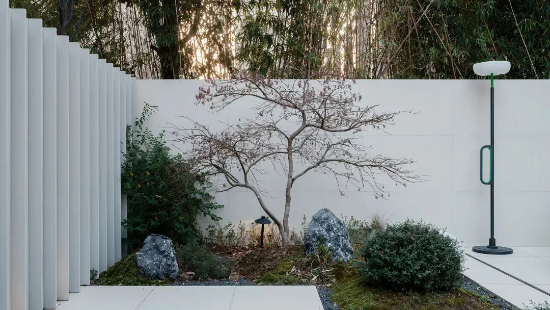 Modern minimalist backyard featuring concrete, a tree, rocks, and greenery against a white wall with a green and white lamp p