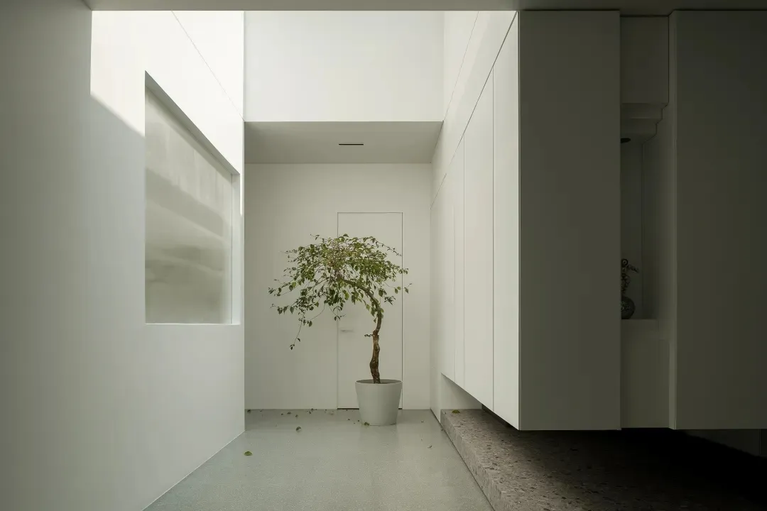 現代玄關室內空間,白色混凝土地板搭配石材地面,白色牆面旁擺放一盆盆栽。