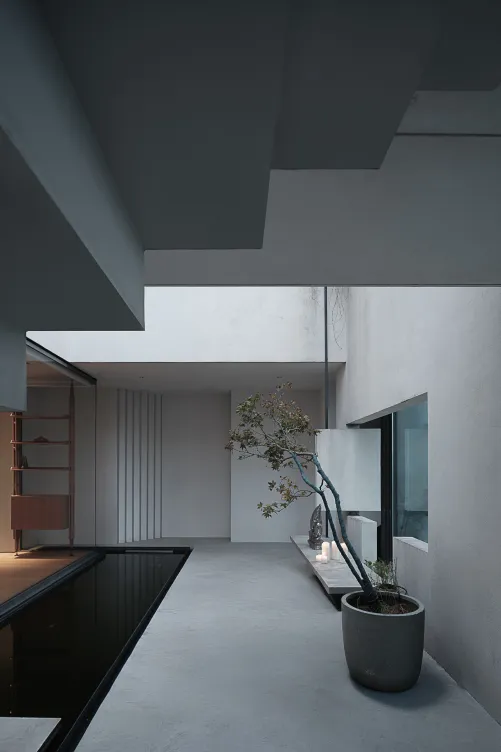 Minimalist living space with concrete walls, floor, and ceiling, featuring a potted plant and a bench.