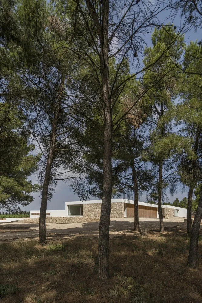 A modern residential architecture featuring stone cladding and large windows surrounded by greenery.