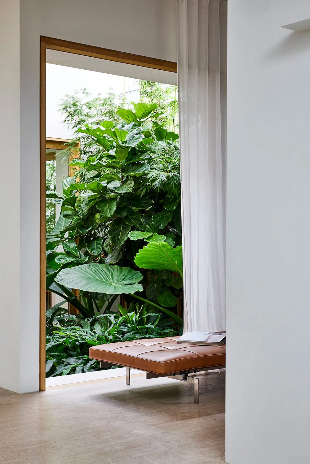 A modern living space featuring a brown leather couch with a metal frame, positioned in front of lush green plants.