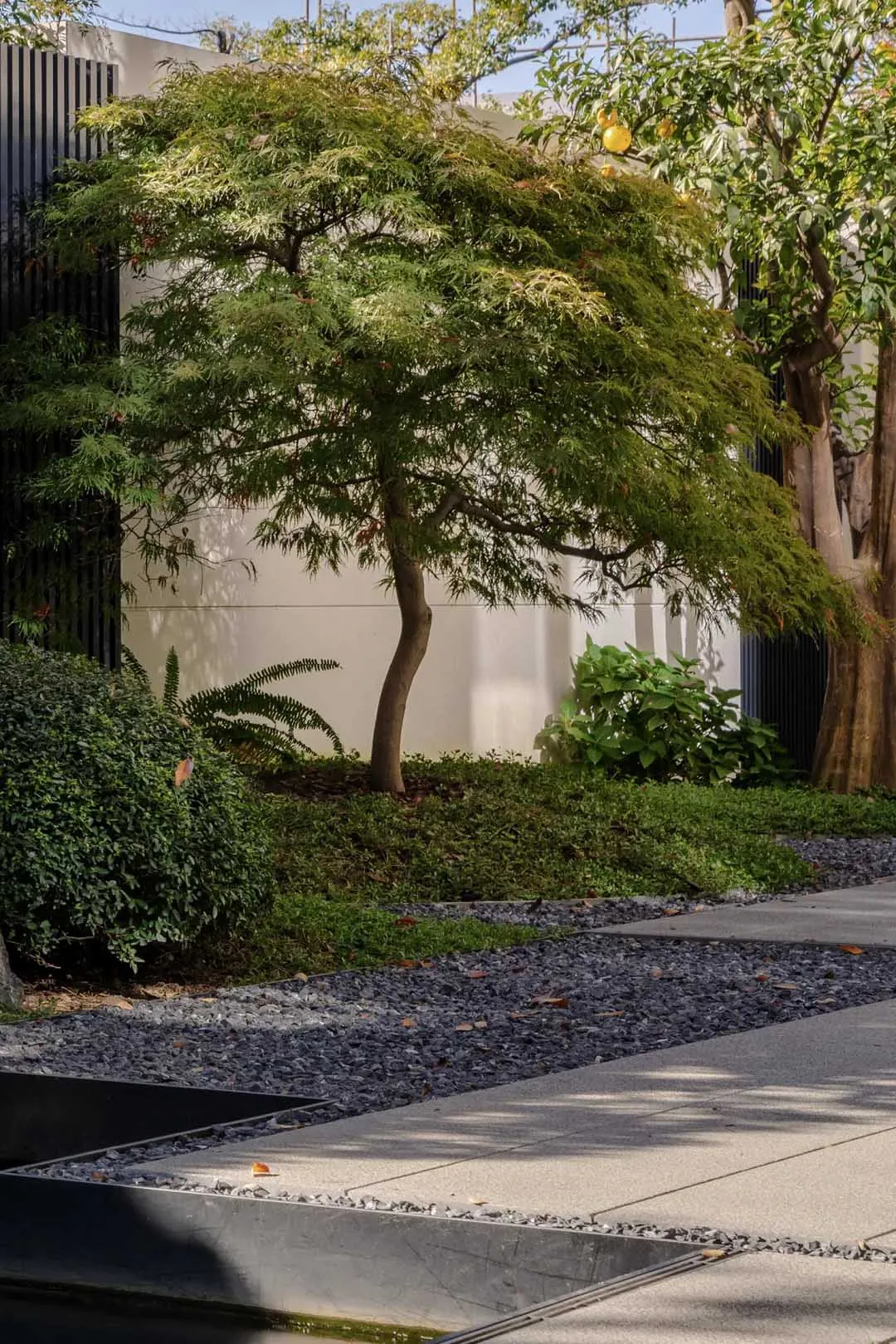 An urban landscaping design featuring stone, soil, and various plants.