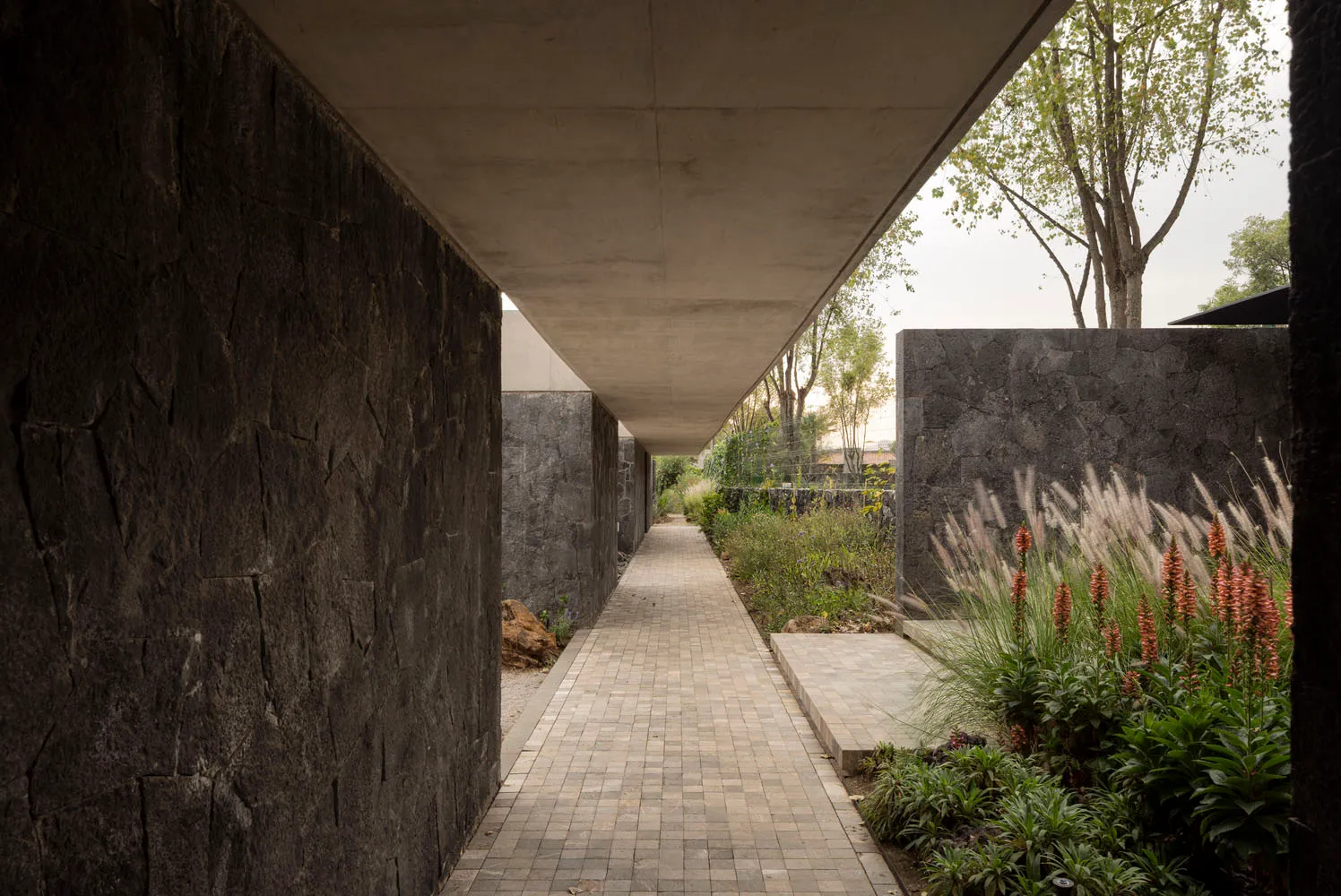A modern exterior architectural design featuring a wall made of concrete with a garden area.