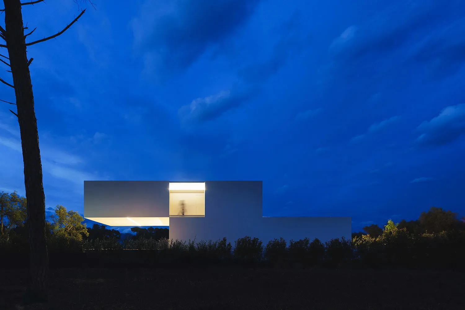 夜晚的現代白色粉刷住宅,室內燈光透出,周圍環繞深色植物。