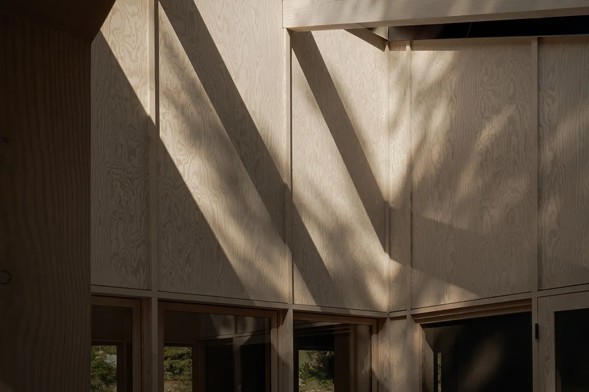 Modern interior design featuring wooden paneling and natural light.