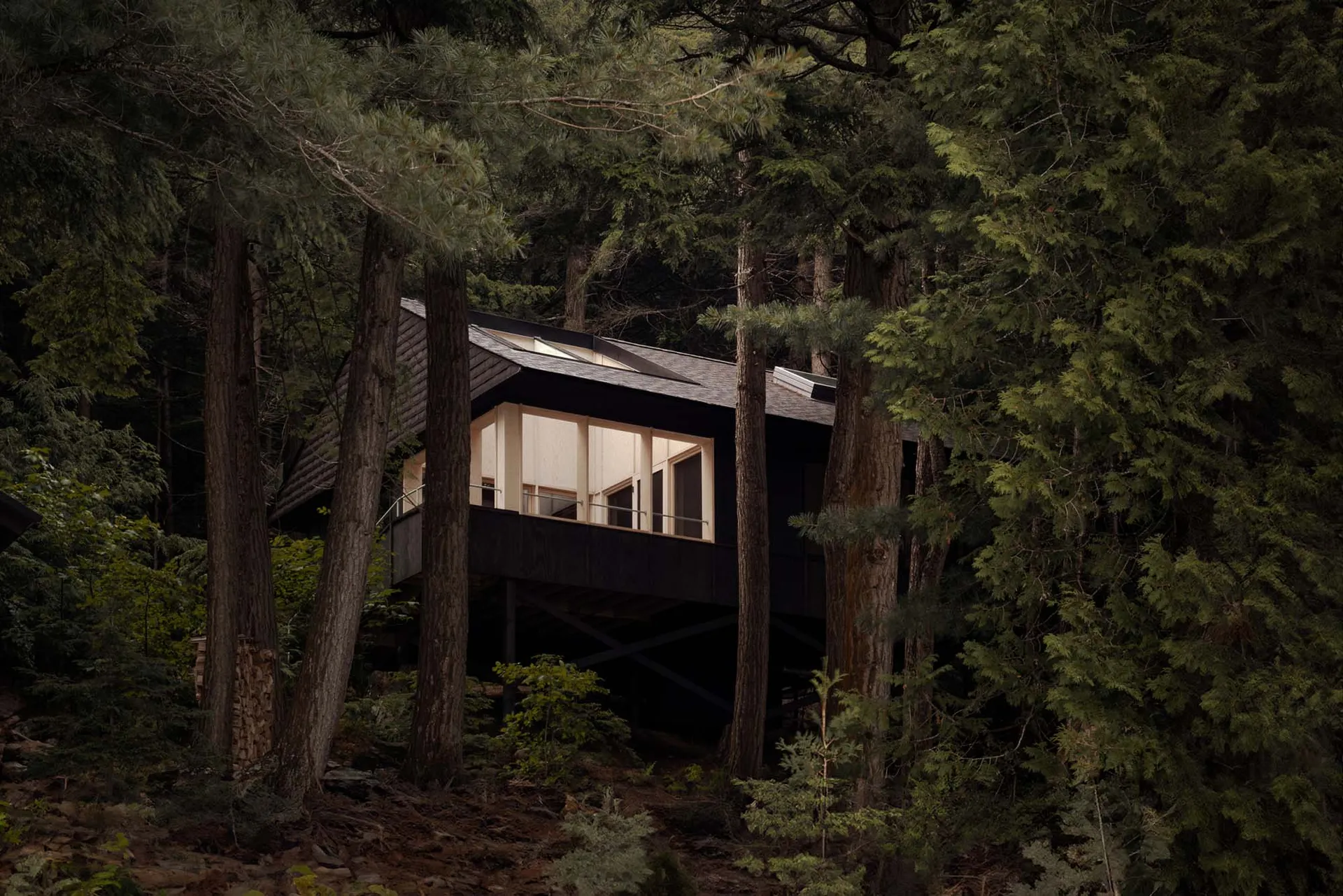 A modern treehouse with a wooden frame surrounded by dense green trees.